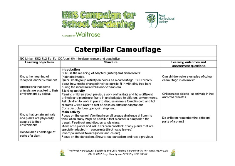 Caterpillar Camouflage Lesson Plan