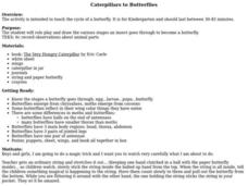 Caterpillars to Butterflies Lesson Plan