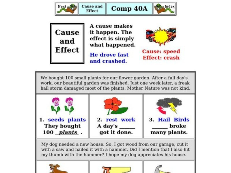 Cause and Effect Worksheet