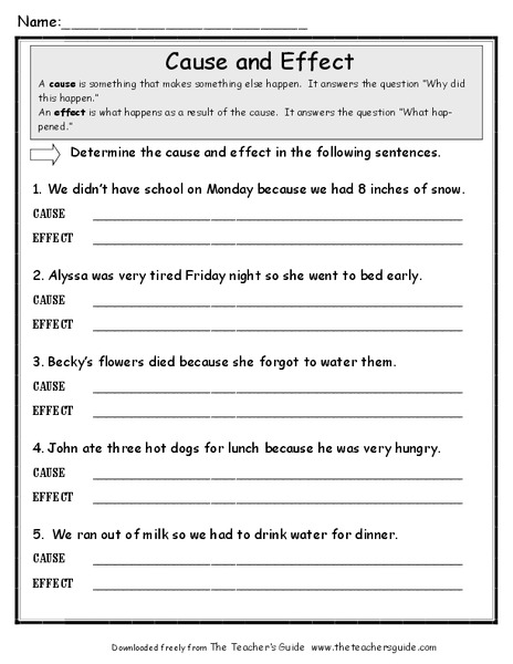 Cause and Effect Worksheet