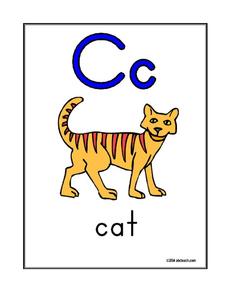 Cc Worksheet
