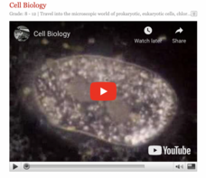 Cell Biology Instructional Video