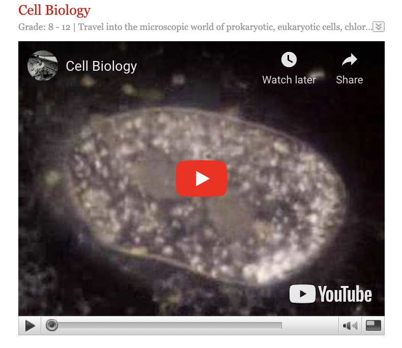 Cell Biology Instructional Video