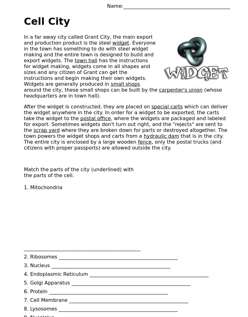 Cell City Analogy Worksheet
