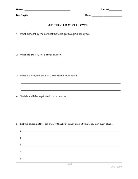 Cell Cycle Worksheet