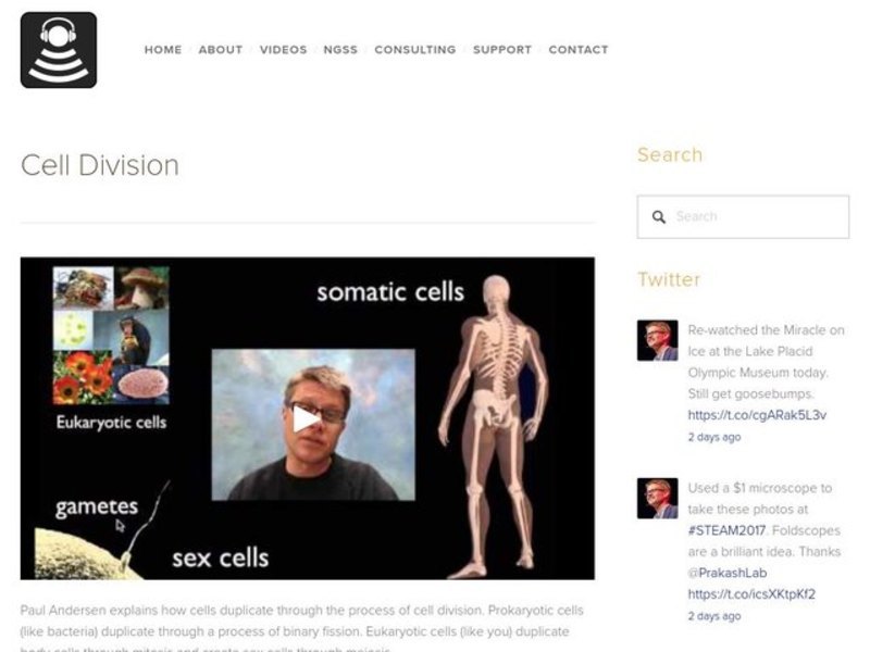 Cell Division Instructional Video