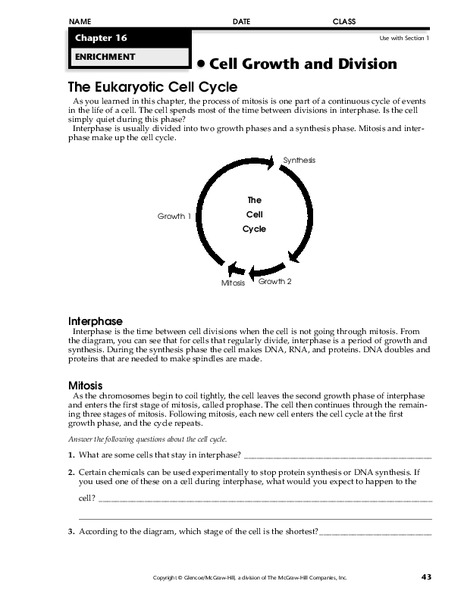 Cell Growth and Division Worksheet