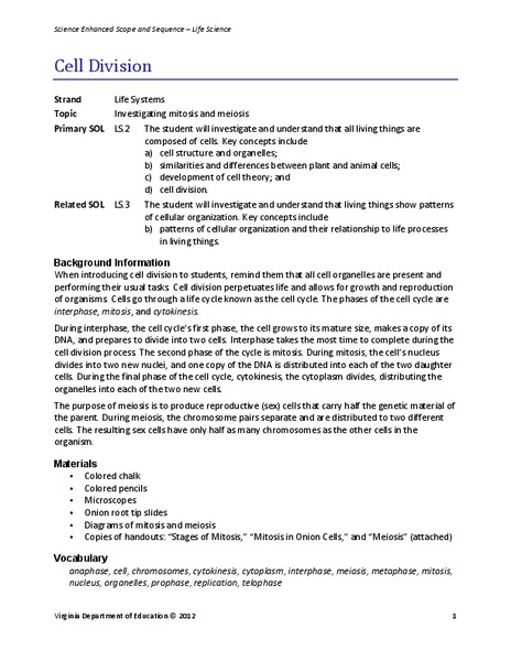 Cell Division Lesson Plan
