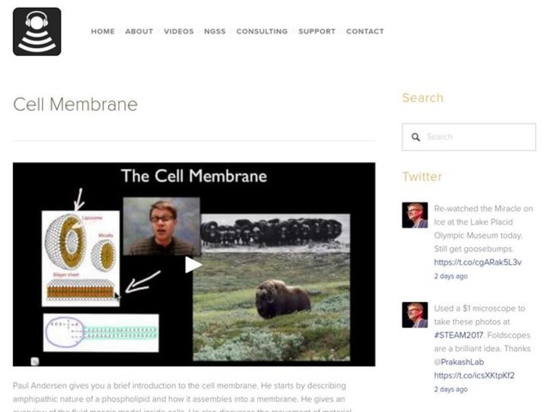 Cell Membrane Instructional Video
