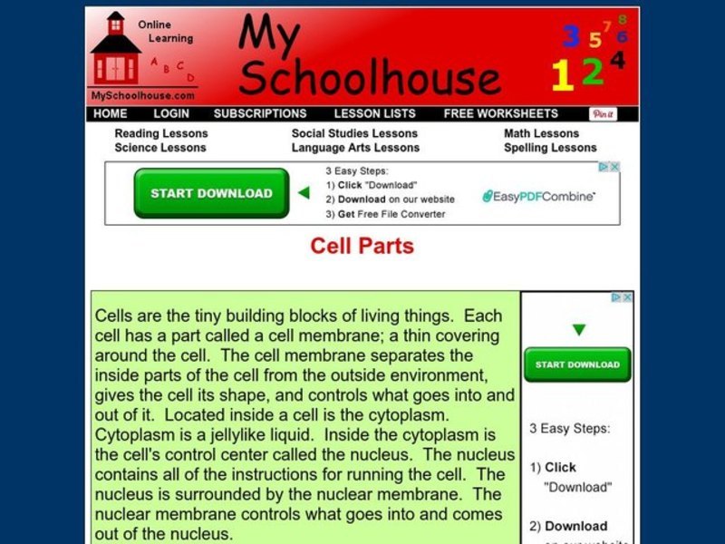 Cell Parts Interactive