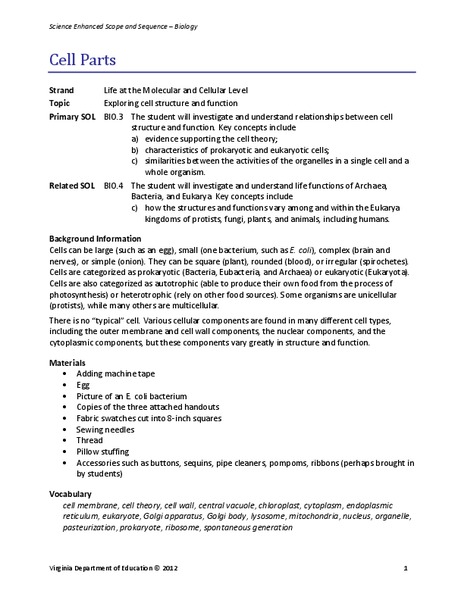 Cell Parts Lesson Plan