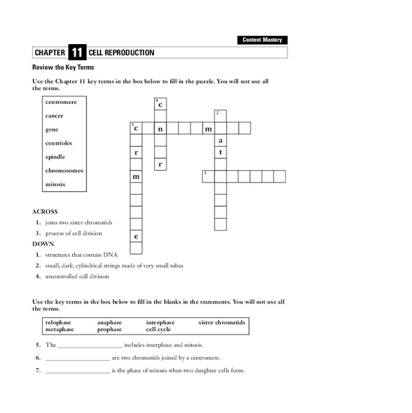 Cell Reproduction Worksheet