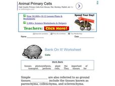 Cells Worksheet