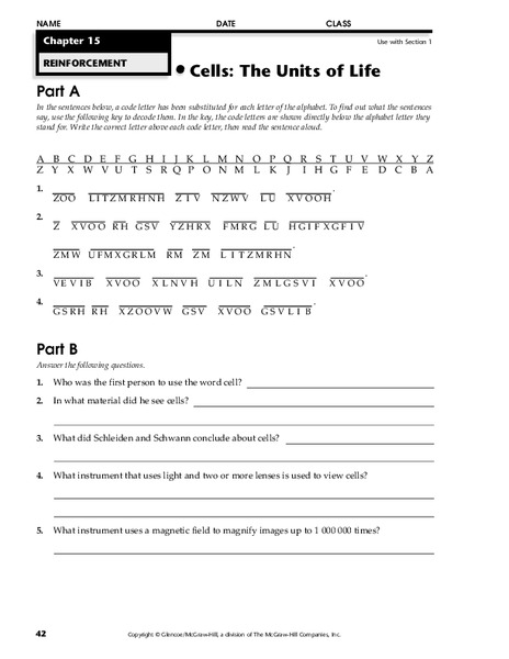 Cells: The Units of Life Worksheet
