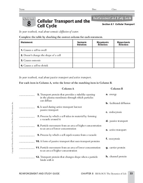Cellular Transport Worksheet