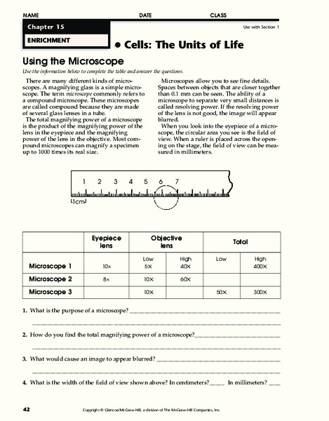 Cells: The Units of Life Worksheet