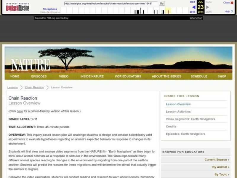 Chain Reaction Lesson Plan