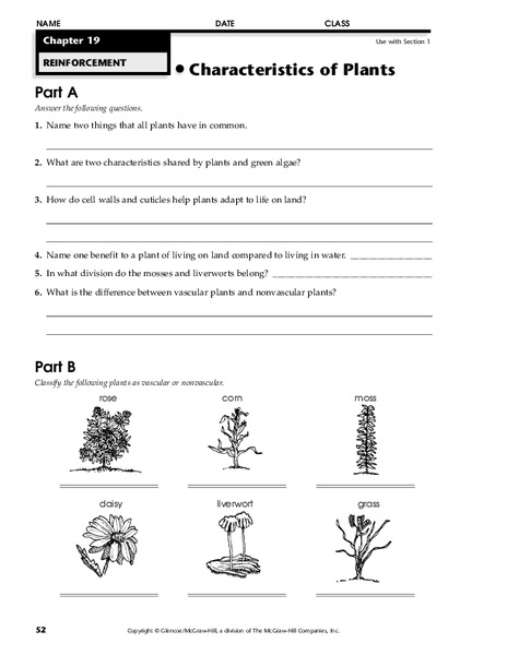 Characteristics of Plants Worksheet