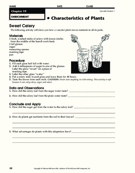Characteristics of Plants Worksheet