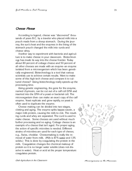 Cheese Please Lesson Plan