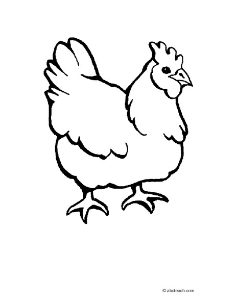 Chicken Worksheet