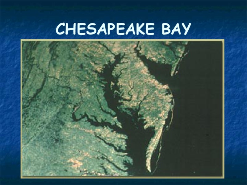 Chesapeake Bay PPT