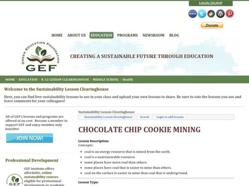 Chocolate Chip Cookie Mining Lesson Plan