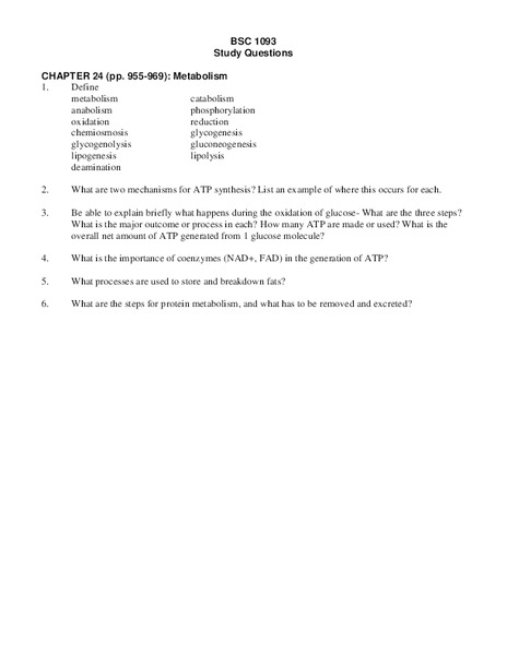 Metabolism Worksheet