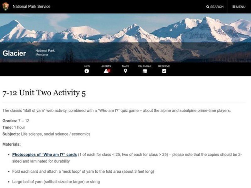 Subalpine Web Activity