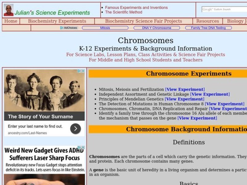 Chromosomes Lesson Plan