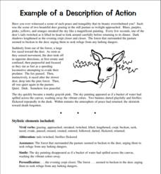 Example of a Description of Action Worksheet
