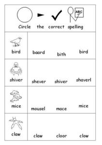 Circle the Correct Spelling Worksheet