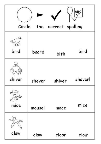 Circle the Correct Spelling Worksheet