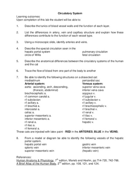 Circulatory System Lesson Plan