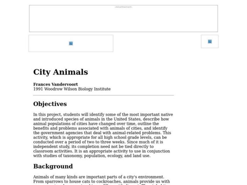 City Animals Lesson Plan