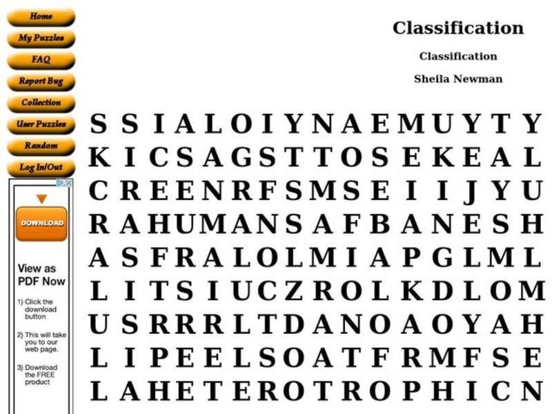 Classification Worksheet