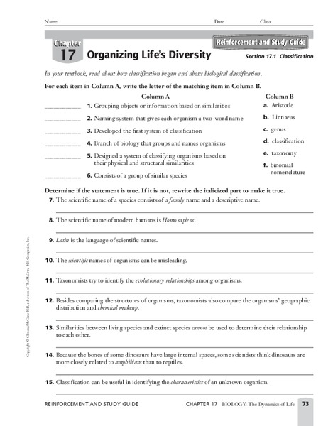 Classification Worksheet