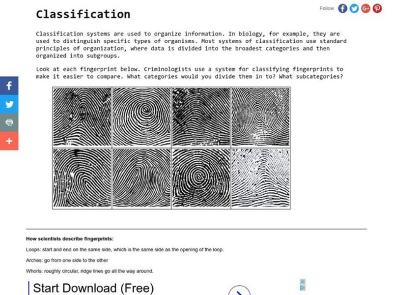 Classification Organizer