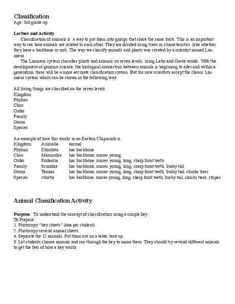 Classification Lesson Plan