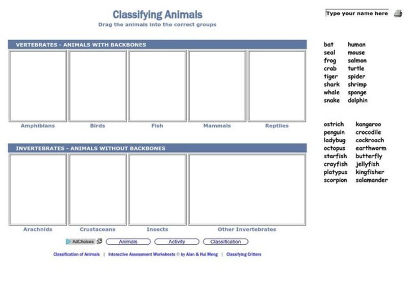 Classifying Animals Lesson Plan