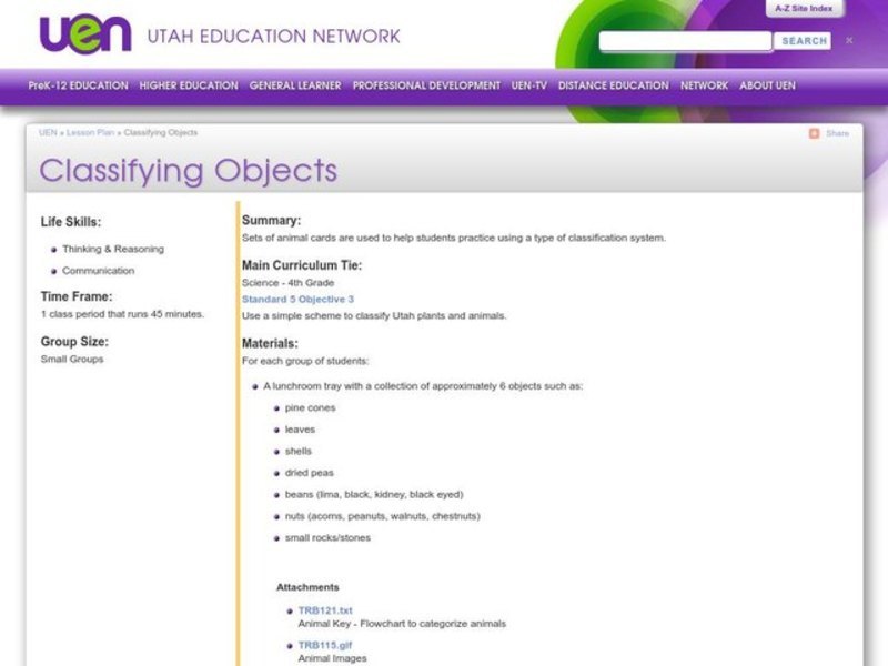 Classifying Objects Lesson Plan