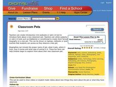 Classroom Pets Lesson Plan