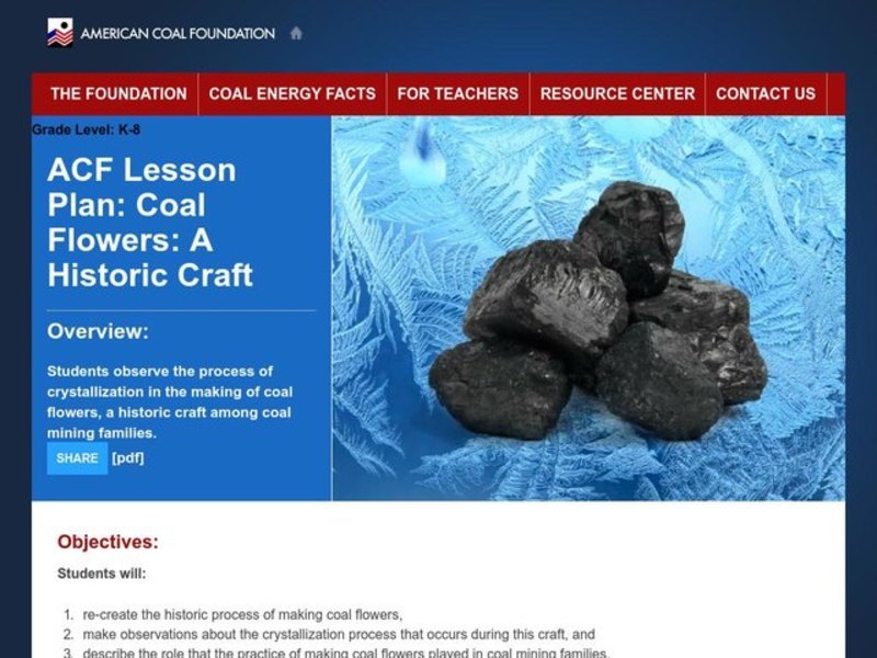 Coal Flowers Lesson Plan