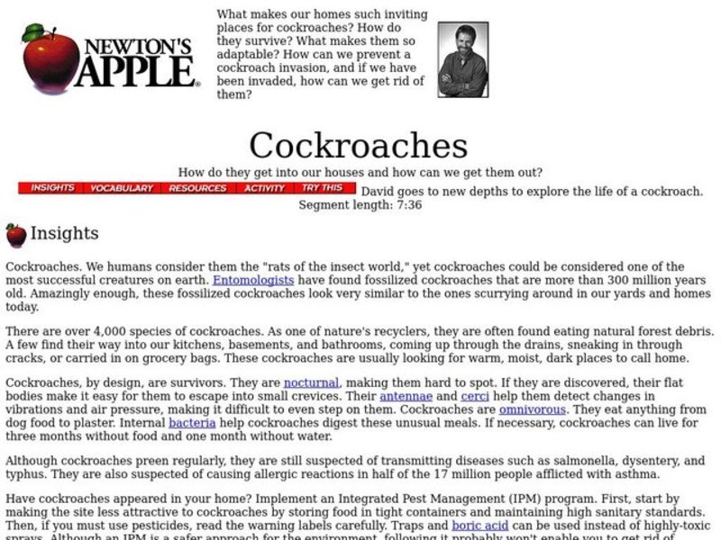 Cockroaches Lesson Plan