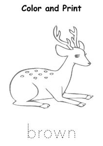 Color and Print Worksheet