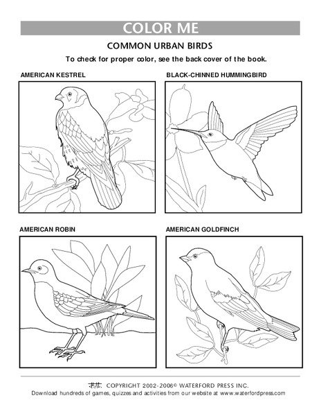 Color Me Lesson Plan