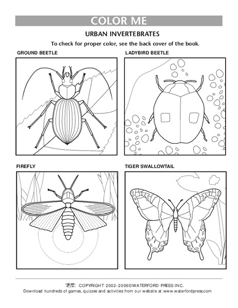 Color Me Lesson Plan