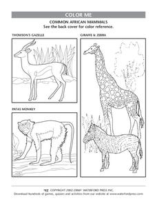 Color Me Lesson Plan