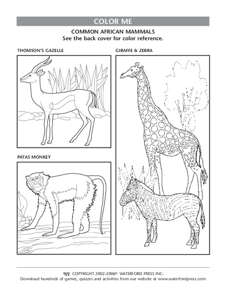 Color Me Lesson Plan