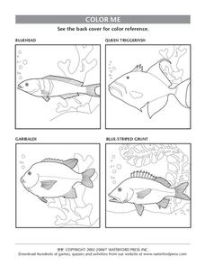 Color Me Lesson Plan